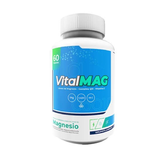 Discovering Vital-Mag.net: Your Go-To Blog for Holistic Wellness and Vitality